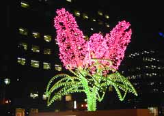 ��ʂ�����̃C���~�l�[�V����5