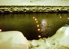 水面の浮き球1 水面の浮き球1