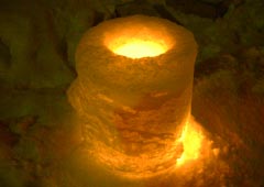 �X�m�[�L�����h���̃A�b�v