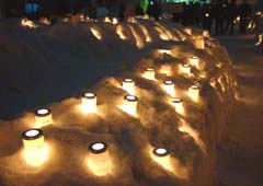 ��R�̃X�m�[�L�����h��1