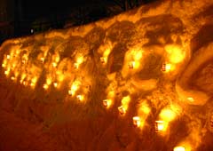 ��R�̃X�m�[�L�����h��2