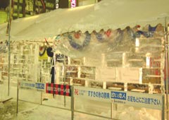 氷像・氷でできた屋台 氷像・氷でできた屋台