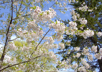 �G�]���}�U�N���H1