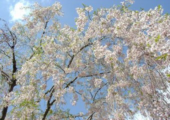 �G�]���}�U�N���H2