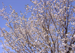 �G�]���}�U�N���H3