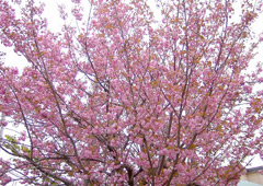 ���G���}�U�N��1