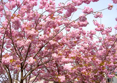 ���G���}�U�N��2