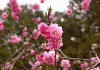 ���G���}�U�N��3