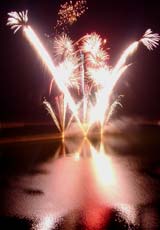 �E�C���O�x�C���M�̉ԉ�3