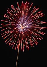 読売花火大会2 読売花火大会2