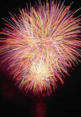 �E�C���O�x�C���M�̉ԉ�4