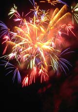 �E�C���O�x�C���M�̉ԉ�5