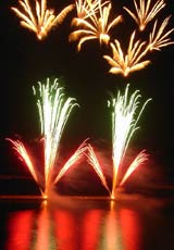 �E�C���O�x�C���M�̉ԉ�6