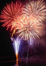 �E�C���O�x�C���M�̉ԉ�7