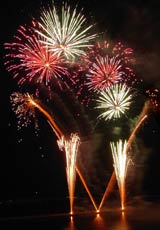 �E�C���O�x�C���M�̉ԉ�8