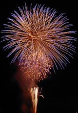 �E�C���O�x�C���M�̉ԉ�9