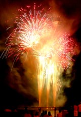 �E�C���O�x�C���M�̉ԉ�11