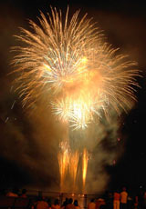 �E�C���O�x�C���M�̉ԉ�12