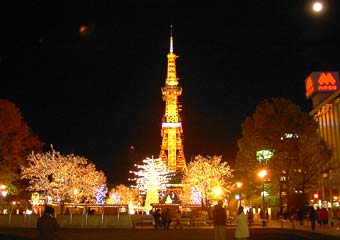 大通り公園のイルミネーション1 大通り公園のイルミネーション1