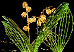 ��ʂ�����̃C���~�l�[�V����2