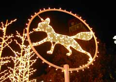 ��ʂ�����̃C���~�l�[�V����6