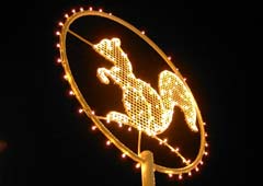 大通り公園のイルミネーション7 大通り公園のイルミネーション7