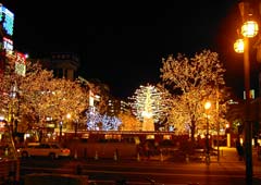 大通り公園のイルミネーション9 大通り公園のイルミネーション9