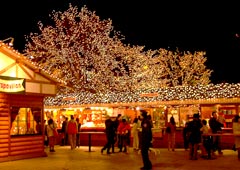 ��ʂ�����̃C���~�l�[�V����15