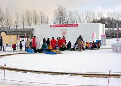 ��Ɛe����1