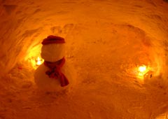 �^�͎U���H7