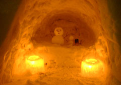 �^�͎U���H8