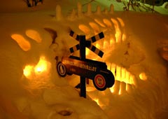 ��{�����5