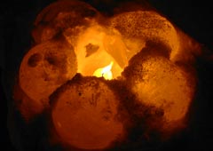 ��{�����6