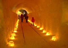 ��{�����8