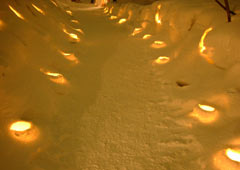 ��{�����9