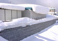 勝納川4 勝納川4