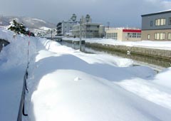 小樽運河7 小樽運河7