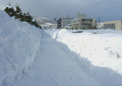 ���M�^��8