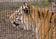 �������イ�فE�g��