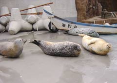 �����炵��1