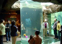 �����炵��2