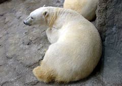 �ق����傭���܊�1