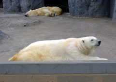 �ق����傭���܊�2