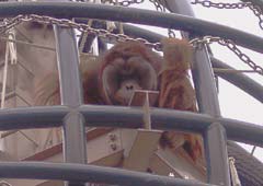 �I�����E�[�^����