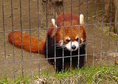 ���b�T�[�p���_