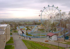 ���R�������̕��i