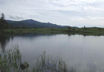 知床五湖1 知床五湖1