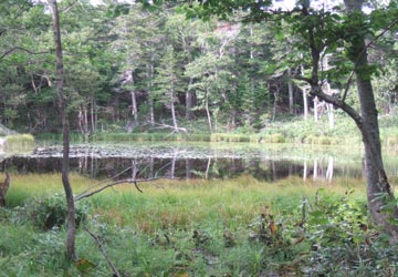 知床五湖6 知床五湖6