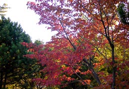 �H�̏��M�����ߕ�2