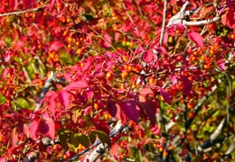 �H�̏��M�����ߕ�7